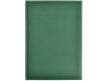 Agenda nedatata A6 clasica, Verde