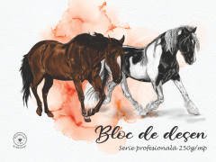 Bloc desen A3 16 file Diamond Line