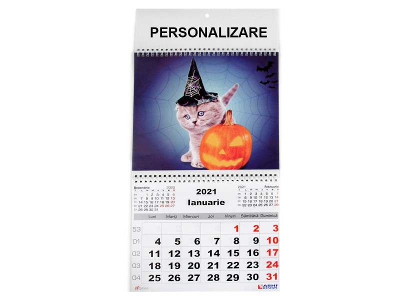 Calendar 2021 de Perete A3, Pisici - 1 Luna/coala - Fotografie 1