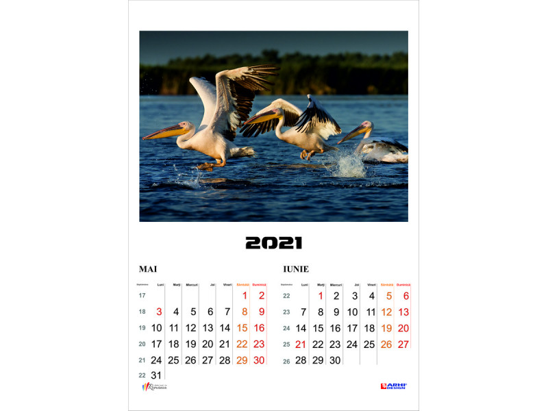Calendar 2022 de Perete A3 policromie ROMANIA Delta, 2 luni/coala, 7 coli - Fotografie 5
