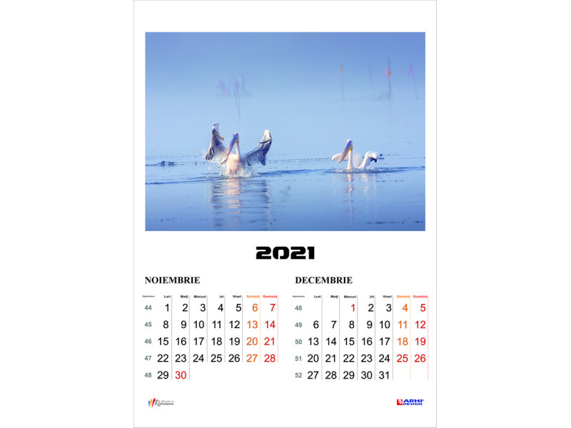 Calendar 2022 de Perete A3 policromie ROMANIA Delta, 2 luni/coala, 7 coli - Fotografie 8