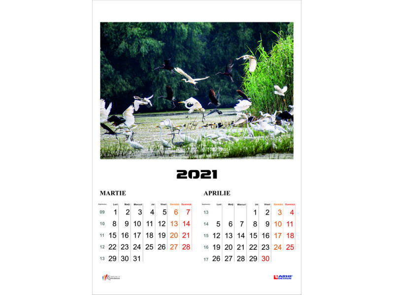 Calendar 2022 de Perete A3 policromie ROMANIA Delta, 2 luni/coala, 7 coli - Fotografie 4
