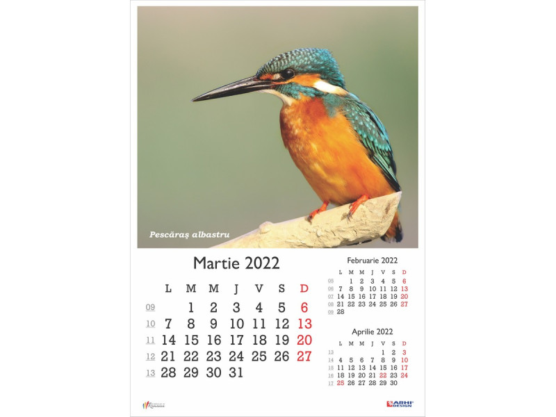 Calendar 2022 de Perete A3, Pasari - Fotografie 3
