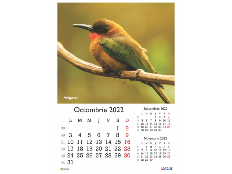 Calendar 2022 de Perete A3, Pasari - Fotografie 10