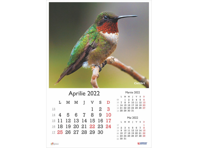 Calendar 2022 de Perete A3, Pasari - Fotografie 4
