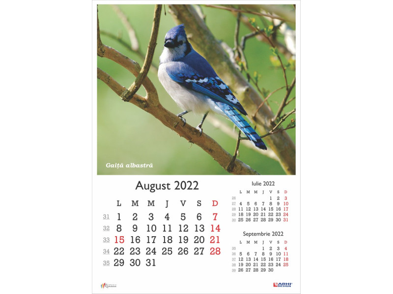 Calendar 2022 de Perete A3, Pasari - Fotografie 8