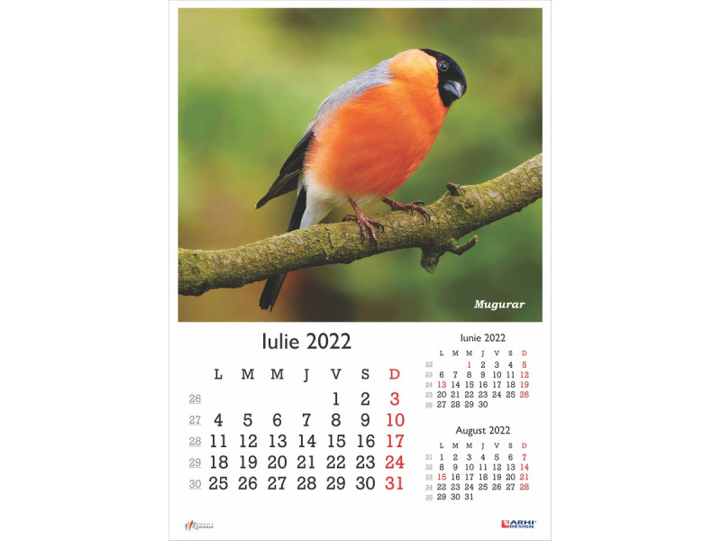 Calendar 2022 de Perete A3, Pasari - Fotografie 7
