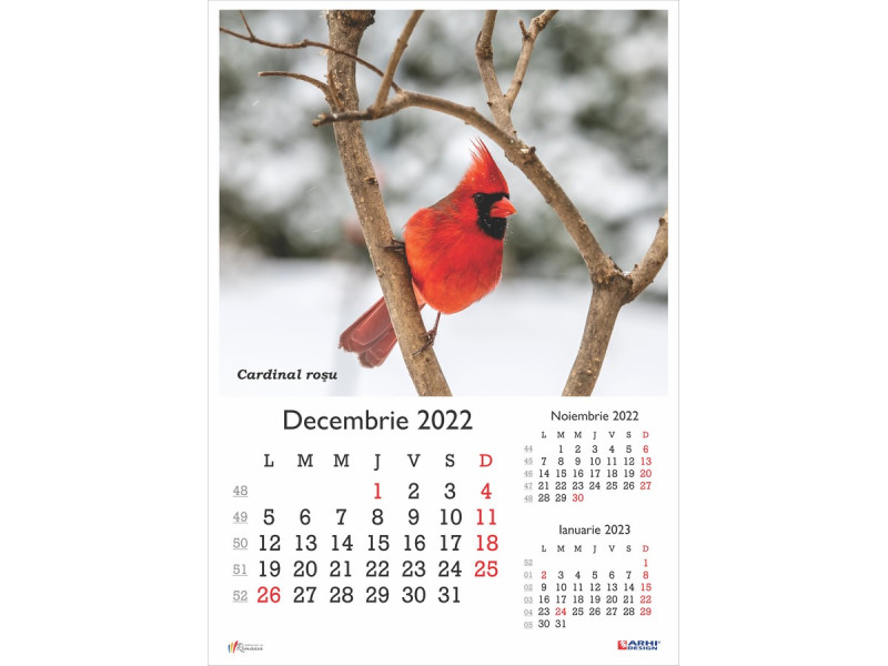 Calendar 2022 de Perete A3, Pasari - Fotografie 12