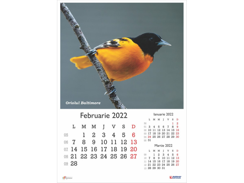 Calendar 2022 de Perete A3, Pasari - Fotografie 2