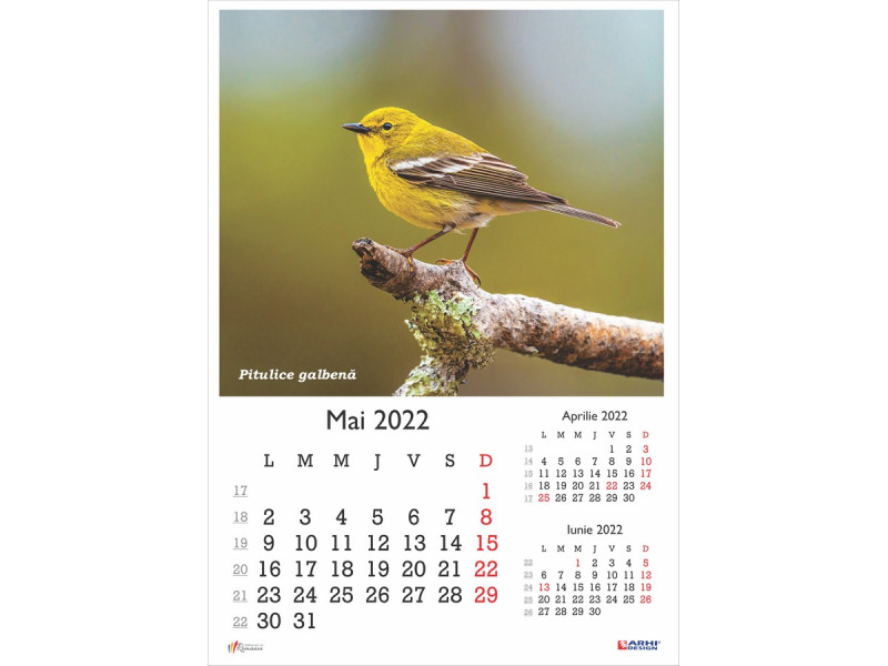 Calendar 2022 de Perete A3, Pasari - Fotografie 5
