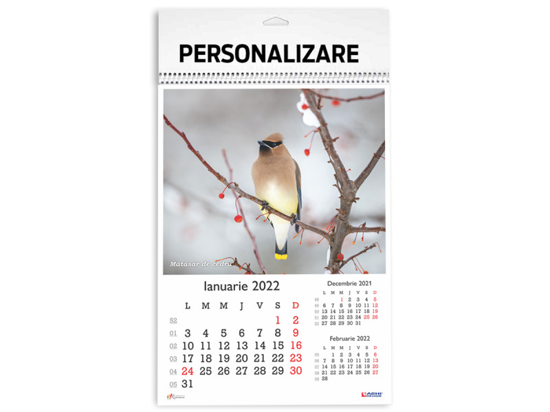 Calendar 2022 de Perete A3, Pasari - Fotografie 1