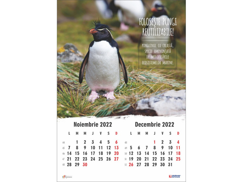 Calendar 2022 de Perete A3, Animale - Fotografie 7