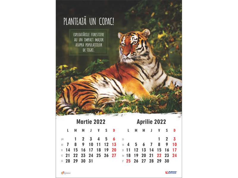 Calendar 2022 de Perete A3, Animale - Fotografie 3