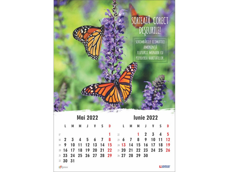 Calendar 2022 de Perete A3, Animale - Fotografie 4