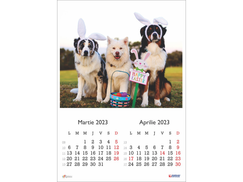 Calendar 2023 de Perete A3, Catei - Fotografie 2