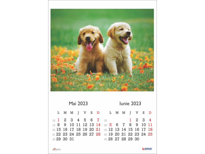 Calendar 2023 de Perete A3, Catei - Fotografie 3