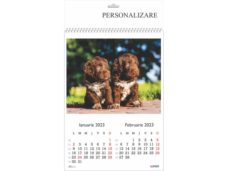 Calendar 2023 de Perete A3, Catei - Fotografie 1