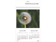 Calendar 2023 de Perete A3, Flori