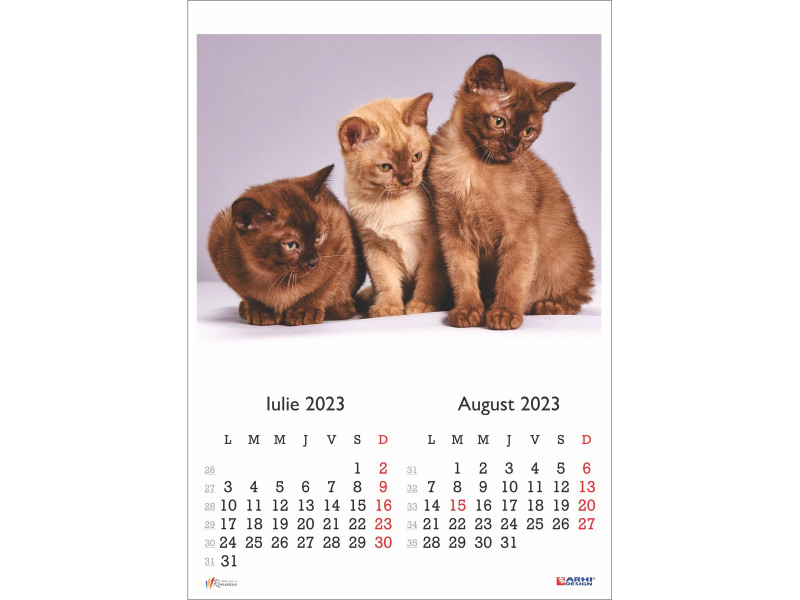 Calendar 2023 de Perete A3, Pisici - Fotografie 4
