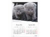 Calendar 2023 de Perete A3, Pisici - imagine 2