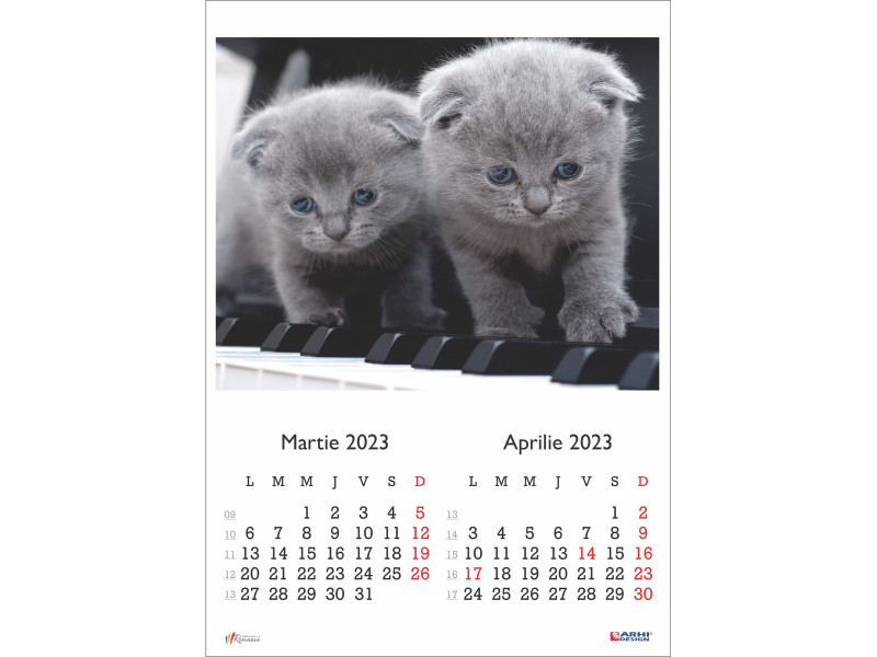 Calendar 2023 de Perete A3, Pisici - Fotografie 2