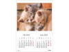 Calendar 2023 de Perete A3, Pisici - imagine 3