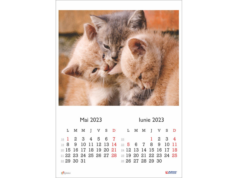 Calendar 2023 de Perete A3, Pisici - Fotografie 3