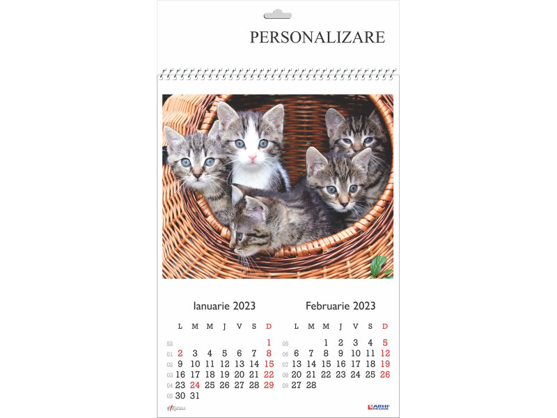 Calendar 2023 de Perete A3, Pisici - Fotografie 1