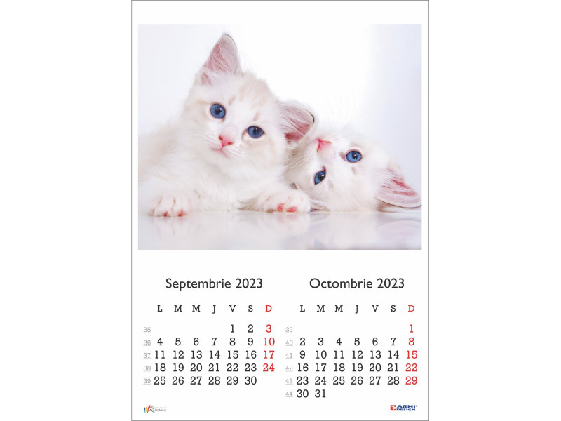 Calendar 2023 de Perete A3, Pisici - Fotografie 5