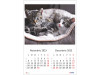 Calendar 2023 de Perete A3, Pisici - imagine 6