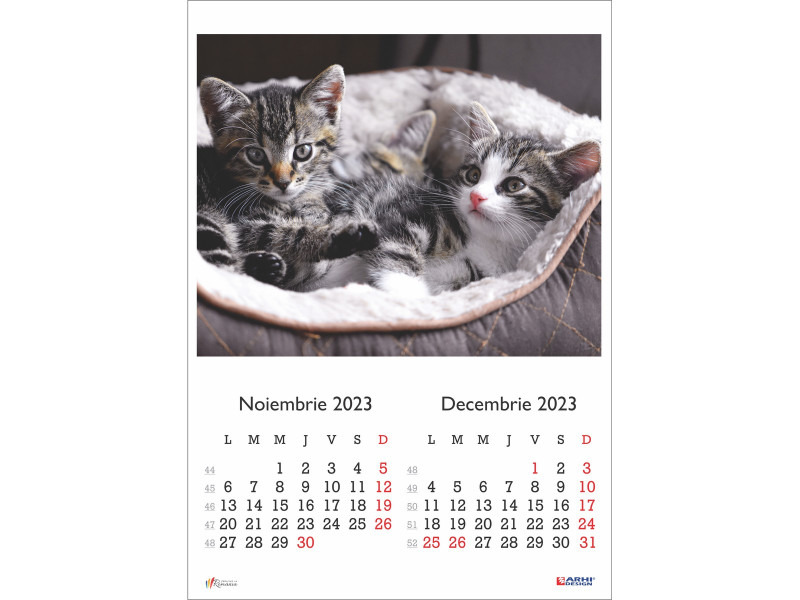 Calendar 2023 de Perete A3, Pisici - Fotografie 6