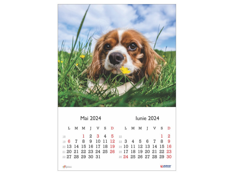 Calendar 2024 de Perete A3, Catei - Fotografie 3