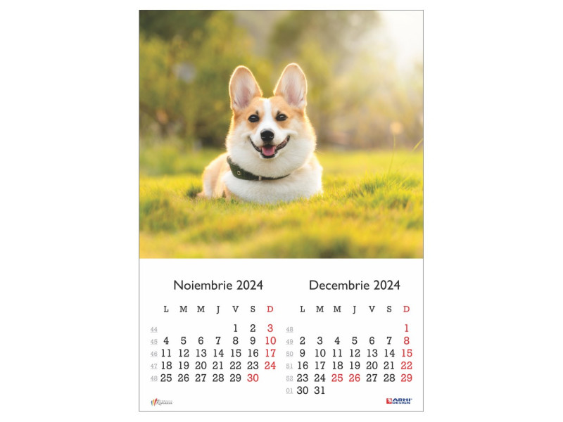 Calendar 2024 de Perete A3, Catei - Fotografie 6