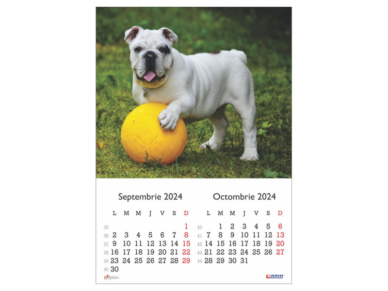 Calendar 2024 de Perete A3, Catei - Fotografie 5