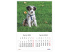 Calendar 2024 de Perete A3, Catei - imagine 2