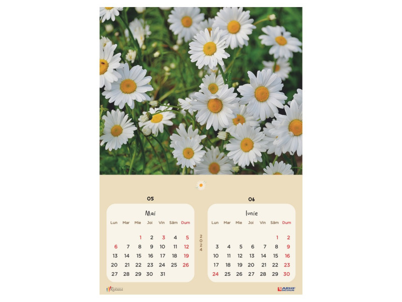 Calendar 2024 de Perete A3, Flori - Fotografie 3