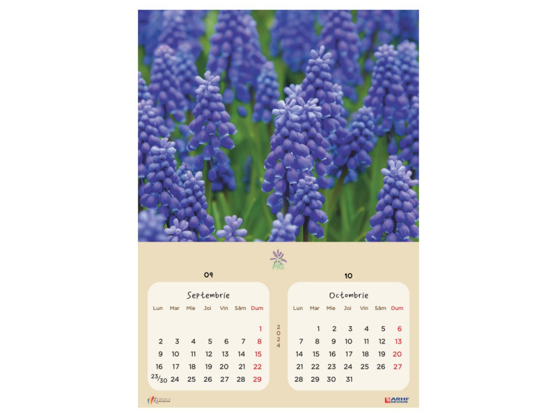 Calendar 2024 de Perete A3, Flori - Fotografie 5
