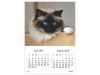 Calendar 2024 de Perete A3, Pisici - imagine 4