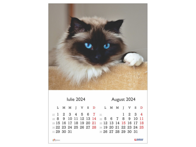 Calendar 2024 de Perete A3, Pisici - Fotografie 4