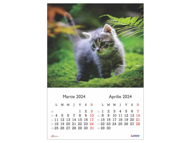 Calendar 2024 de Perete A3, Pisici - Fotografie 2