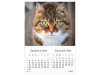 Calendar 2024 de Perete A3, Pisici - imagine 5