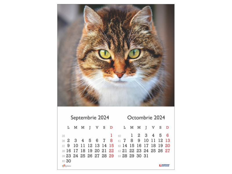 Calendar 2024 de Perete A3, Pisici - Fotografie 5