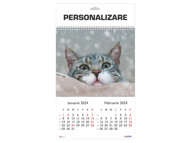 Calendar 2024 de Perete A3, Pisici - Fotografie 1