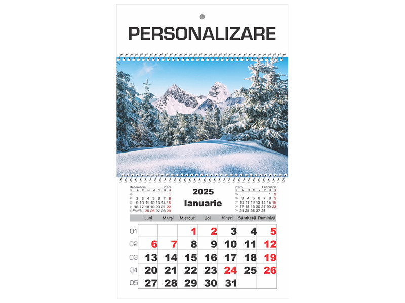 Calendar 2025 de Perete A3, 1 luna/coala - Fotografie 1