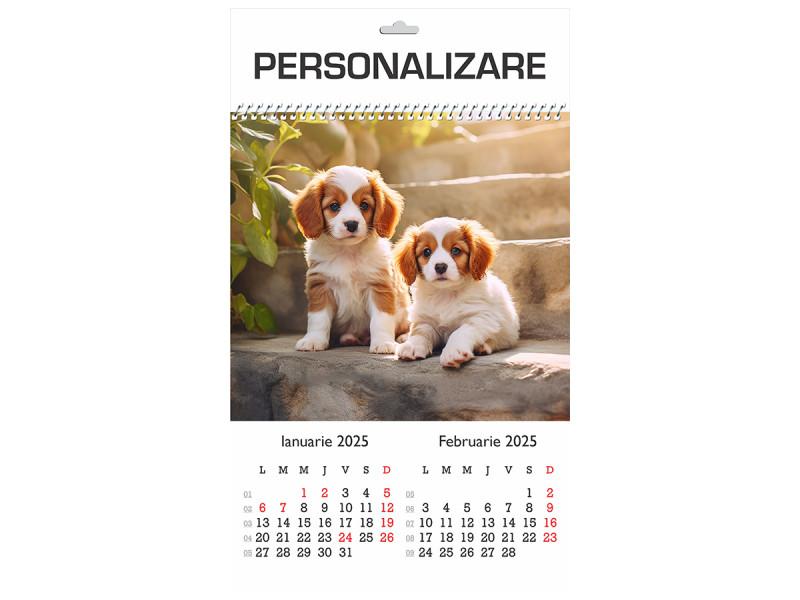 Calendar 2025 de Perete A3, Catei - Fotografie 1