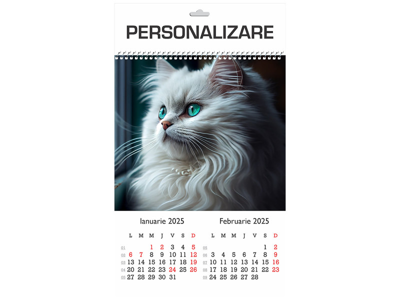 Calendar 2025 de Perete A3, Pisici - Fotografie 1