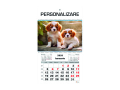 Calendar 2026 de Perete A3, Catei, 1 Luna/coala