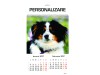 Calendar 2027 de Perete A3, Catei, 25 buc/set