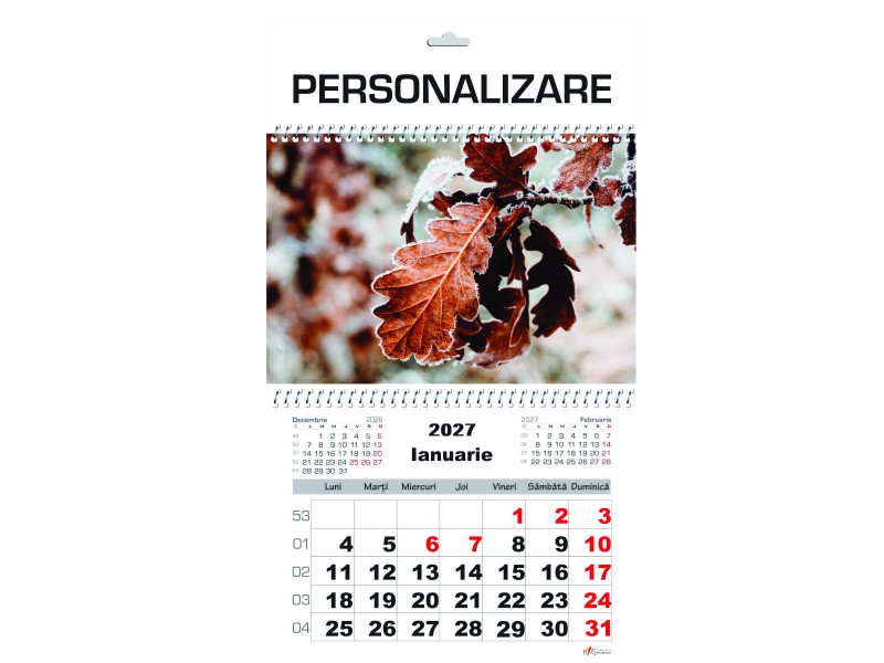 Calendar 2027 de Perete A3, Frunze, 1 Luna/coala, 5 buc/set - Fotografie 1