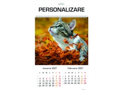 Calendar 2027 de Perete A3, Pisici
